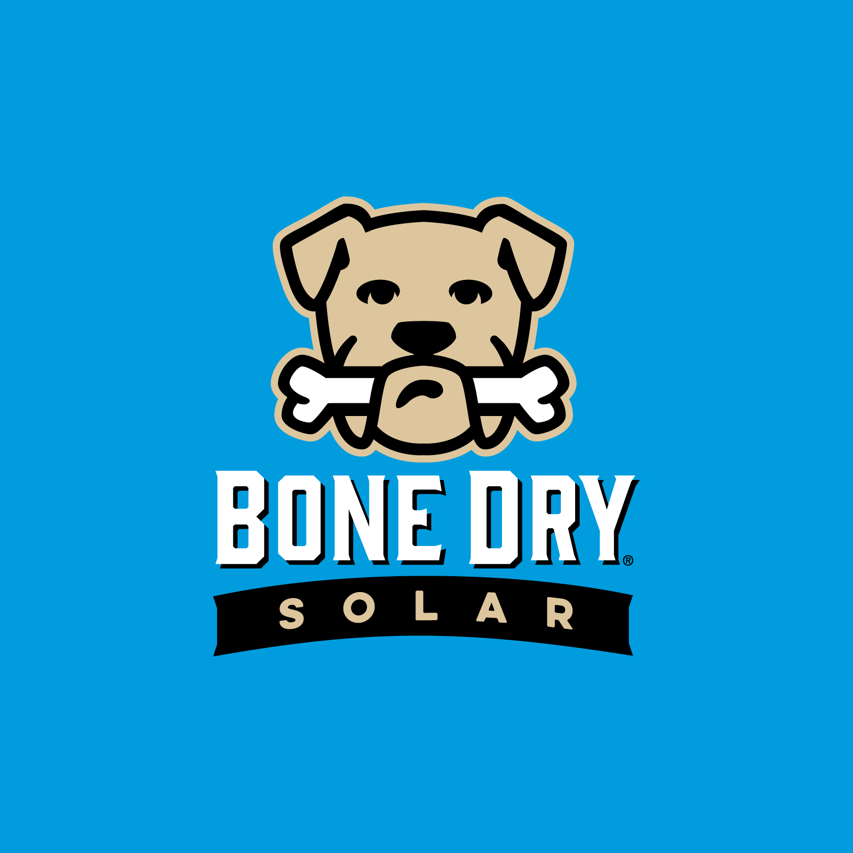 Image for Bone Dry Solar with ID of: 7026094