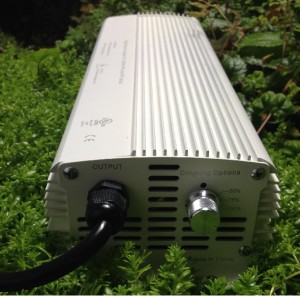 Image for 80210 with ID of: 702637