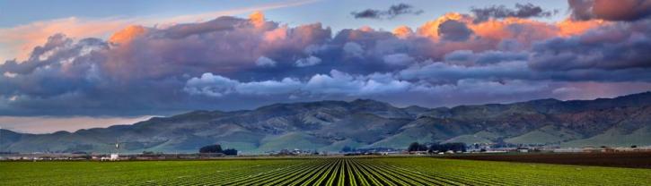 Image for Salinas Dental Health with ID of: 702718