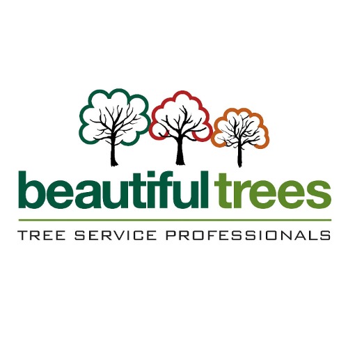 Image for Beautiful Trees Inc with ID of: 7028562