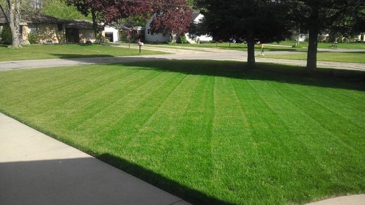 Image for Gabe's Lawn Cuts with ID of: 703687