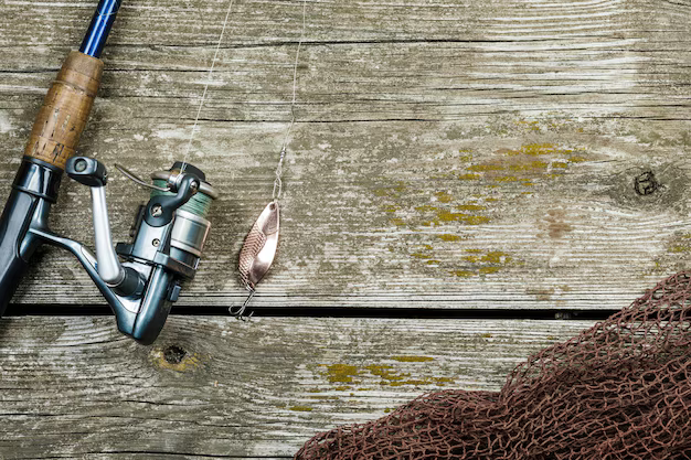 Image for Fishing Reel Causing Thumb Fatigue? Why Many Anglers Adjust to Modern Baitcasting Reels Slowly with ID of: 7042758