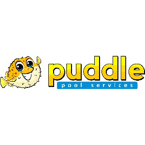 Image for Puddle Pool Services with ID of: 7047320