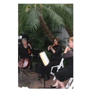 Image for classical music ensemble columbus oh with ID of: 7052417