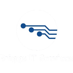 Image for Briggs IT Services LLC with ID of: 7052713