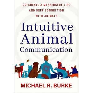 Image for animal intuitive with ID of: 7055846