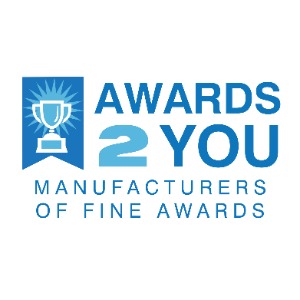 Image for Awards2You with ID of: 7056749