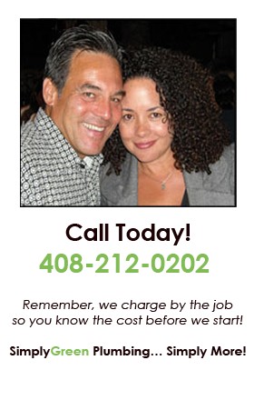 Image for Simply Green Plumbing with ID of: 706024