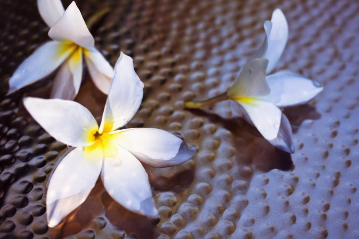 Image for Flot Spa with ID of: 706284