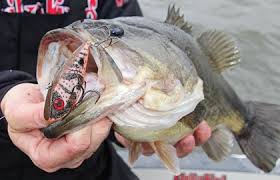 Image for Fisherman's Market & Grill with ID of: 706337
