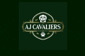 Image for AJ Cavaliers with ID of: 7066717