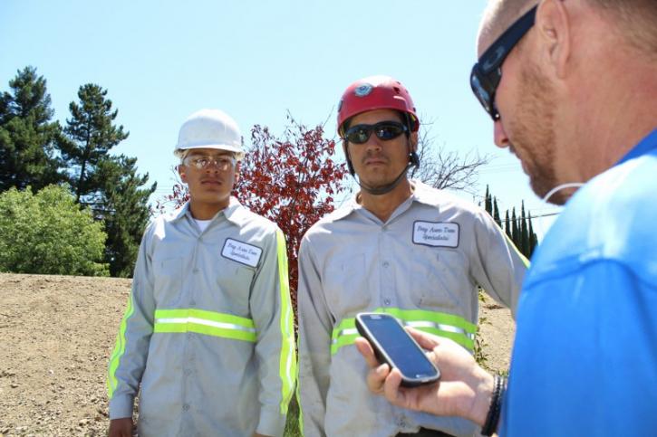 Image for Bay Area Tree Specialists with ID of: 706775