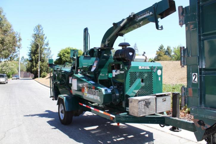 Image for Bay Area Tree Specialists with ID of: 706776