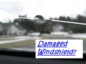 Image for Gator Auto Glass with ID of: 706861