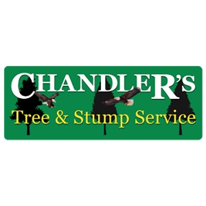 Image for Chandler's Tree & Stump Service with ID of: 7070215