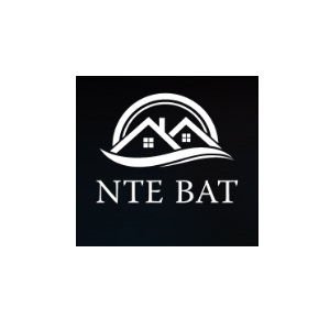 Image for NTE BAT with ID of: 7071312