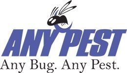 Image for Any Bug Any Pest with ID of: 707390