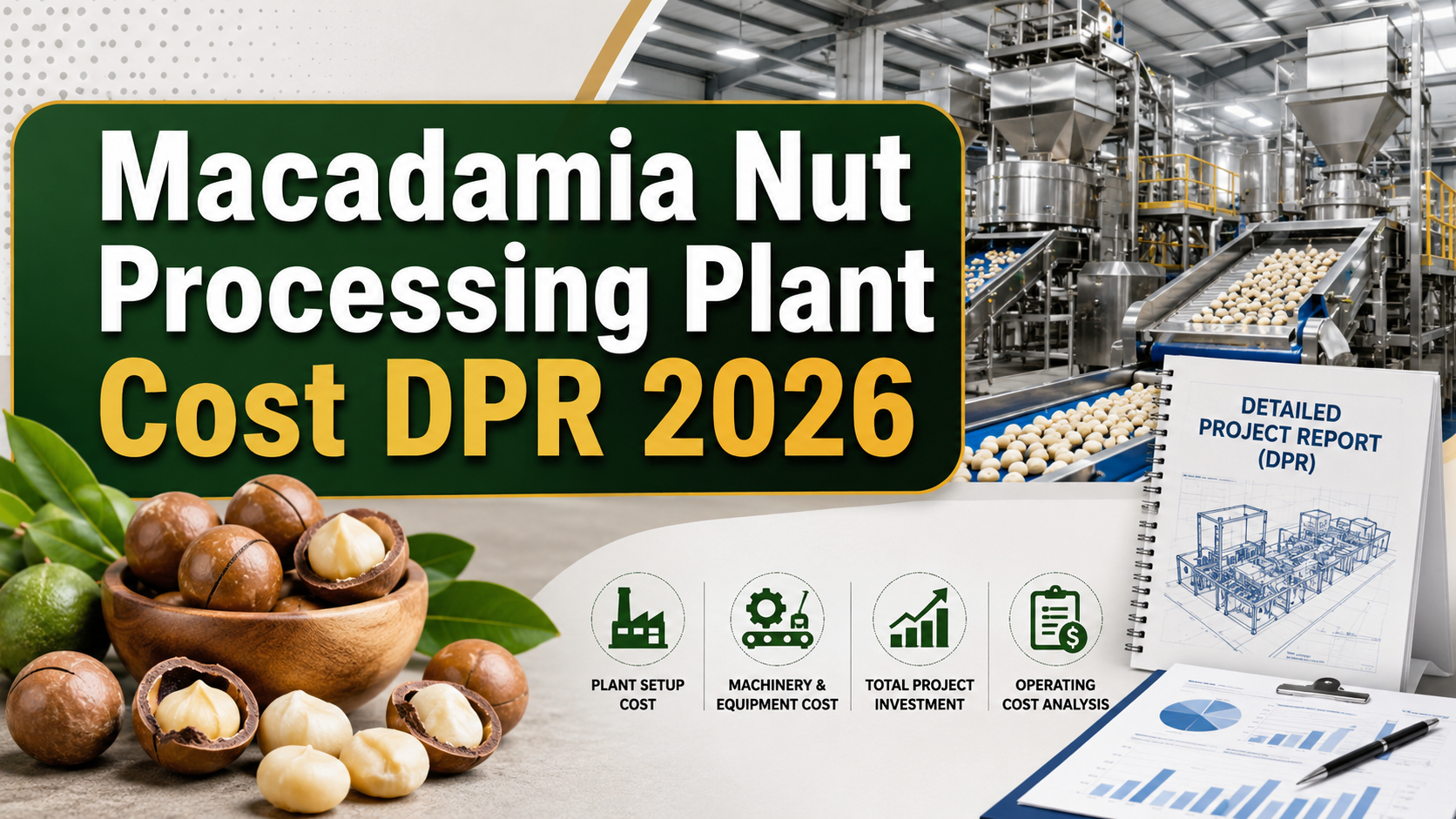 Image for What is the Cost of Macadamia Nut Processing Plant in 2026: Licenses & Process Explained with ID of: 7076188