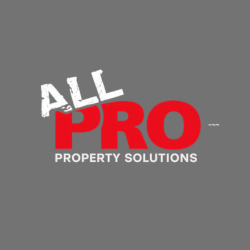 Image for ALL PRO junk removal with ID of: 7077987