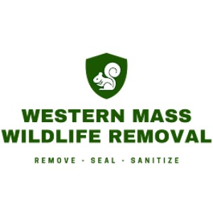 Image for Western Mass Wildlife Removal with ID of: 7083817