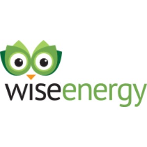 Image for Wise Energy Solutions Ltd with ID of: 7085501