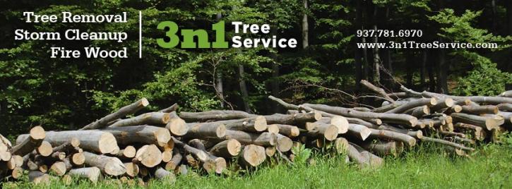 Image for 3n1 Tree Service with ID of: 708728
