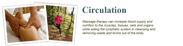 Image for Chippewa Valley Therapeutic Massage with ID of: 709107