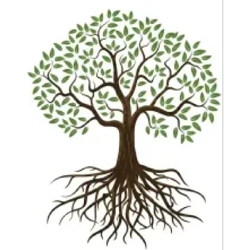 Image for Kingdom Tree Services with ID of: 7092302