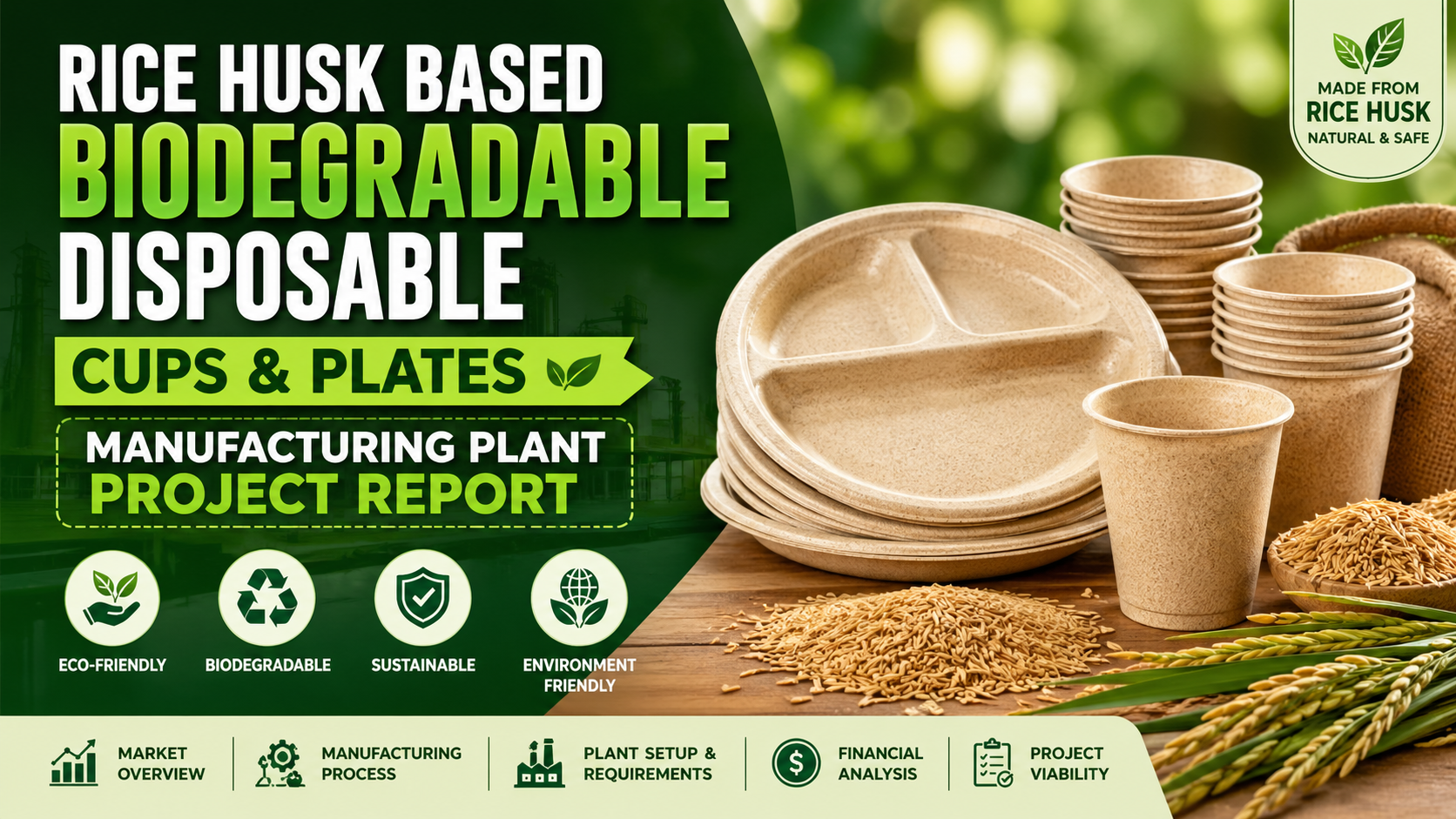 Image for Rice Husk Based Biodegradable Disposable Cups and Plates manufacturing Plant Setup Guide: CapEx, OpEx & ROI with ID of: 7095375