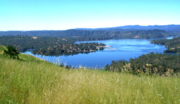 Image for Martincello Real Estate Group with ID of: 710140