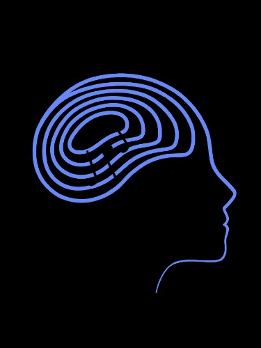 Image for Musical Minds Academy with ID of: 7102045