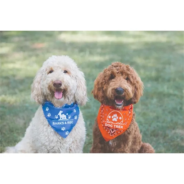 Image for Dog Triangle Bandanna with ID of: 7103751