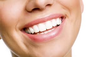 Image for Dr. Katia Natal Friedman, DDS with ID of: 710454