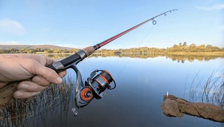 Image for Fishing Reel Hook-Up Control: Why Baitcast Fishing Reels Dominate the First Five Minutes of the Fight with ID of: 7106731