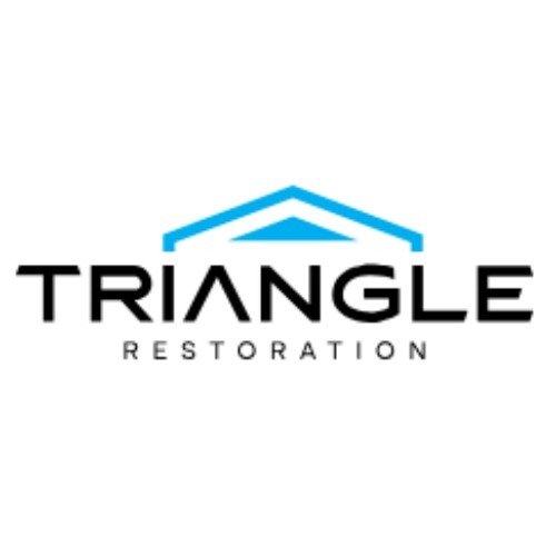 Image for Triangle Restoration with ID of: 7113583