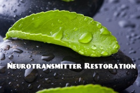 Image for Restore™ Neurorecepter Restoration Program with ID of: 711643