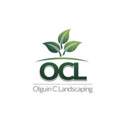 Image for Olguin C Landscaping LLC with ID of: 7117961