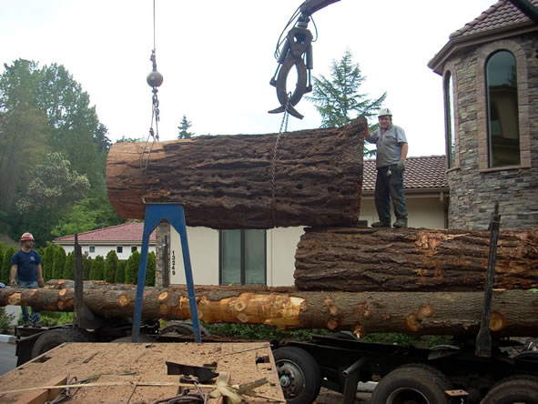 Image for P And D Tree Service with ID of: 711960