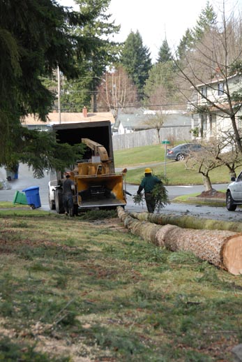 Image for P And D Tree Service with ID of: 711968