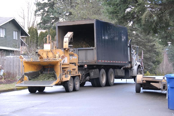 Image for P And D Tree Service with ID of: 711969