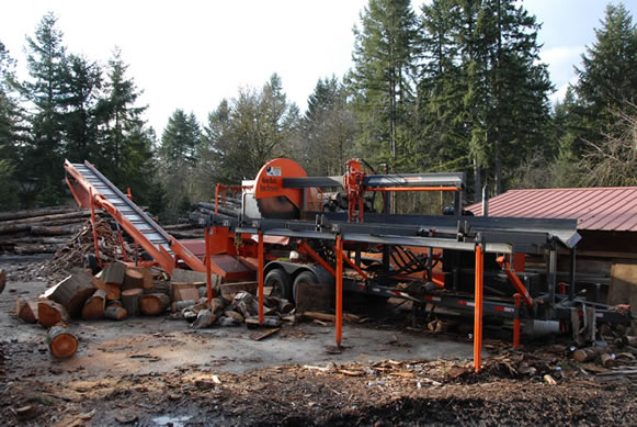 Image for P And D Tree Service with ID of: 711971