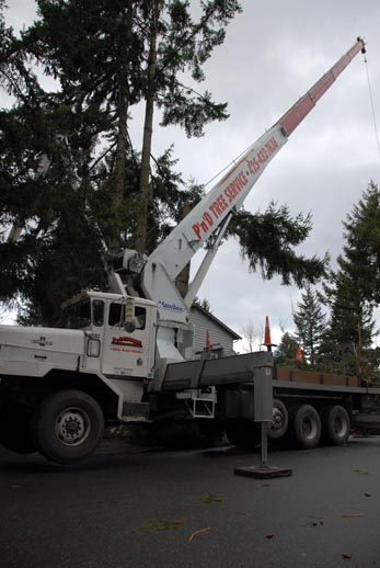 Image for P And D Tree Service with ID of: 712316
