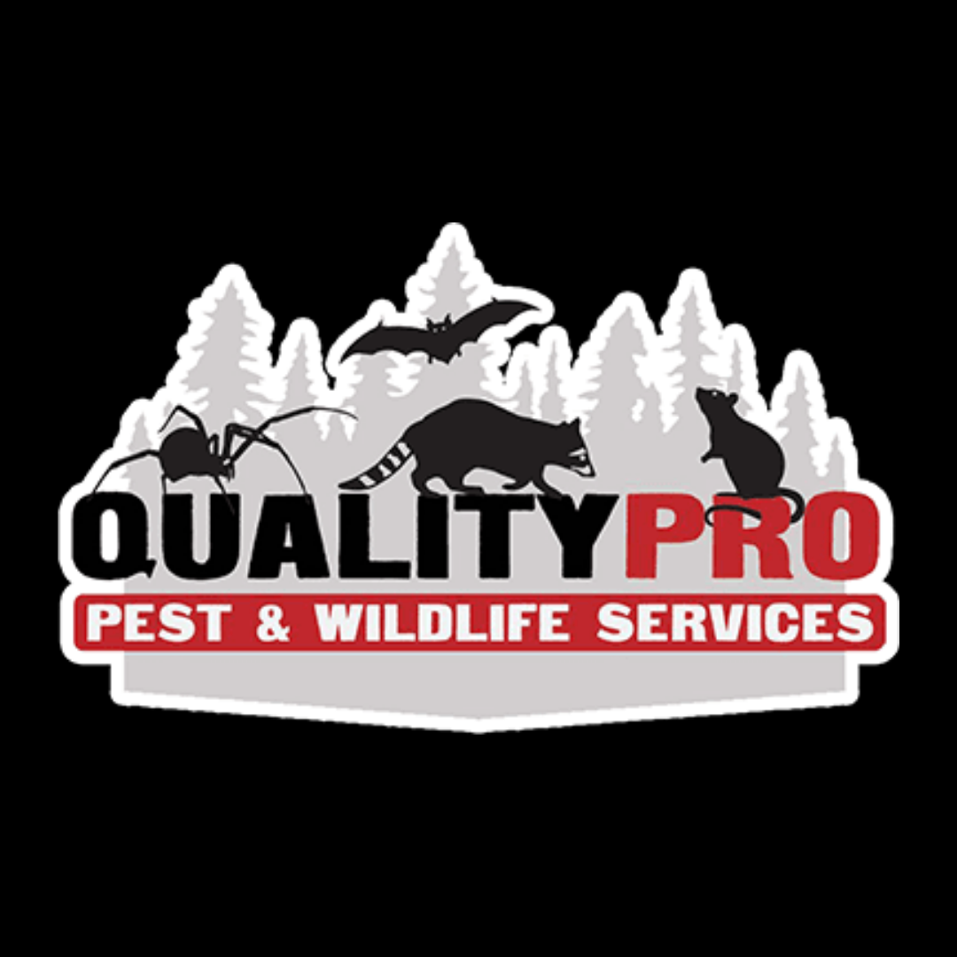 Image for QualityPro Pest & Wildlife Services with ID of: 7124937