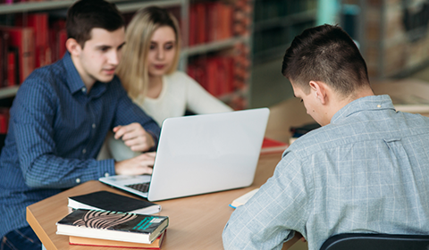 Image for Bachelor of Accounting with ID of: 7125247