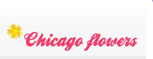 Image for Chicago Flowers with ID of: 712769