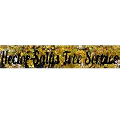 Image for Hector Salas Tree Service with ID of: 712910