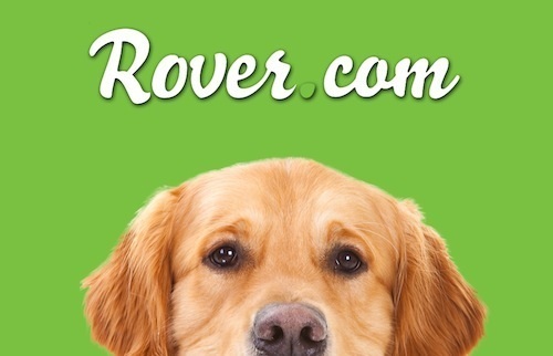 Image for Rover.com - Chicago Dog Boarding with ID of: 713010
