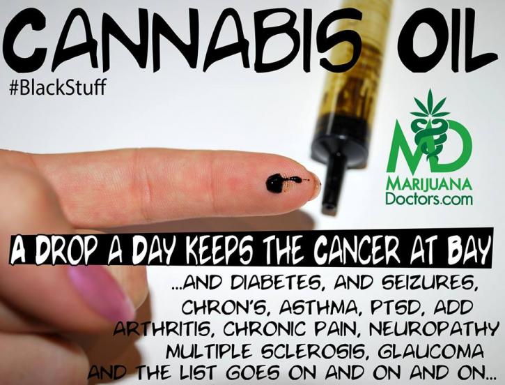 Image for Cancer Does Have a Cure! Help Us to Legalize it!  with ID of: 713175