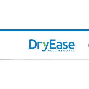 Image for Dry Ease Mold Removal NYC with ID of: 7137419