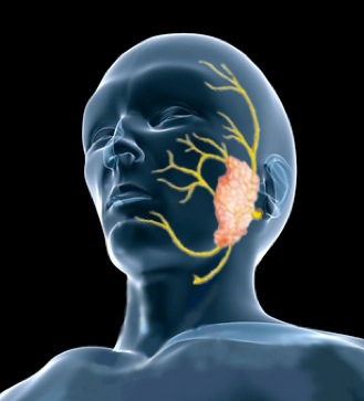 Image for The CENTER for Advanced Parathyroid Surgery with ID of: 713993